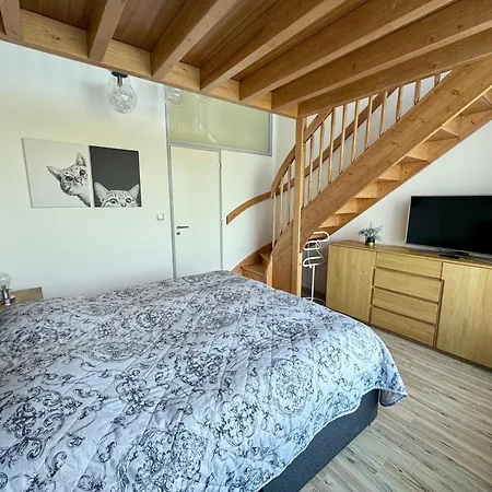 Miky Klínovec Garden Сasa de vacaciones Loučná pod Klínovcem