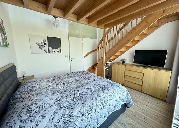 Miky Klinovec Garden Hébergement de vacances Loučná pod Klínovcem